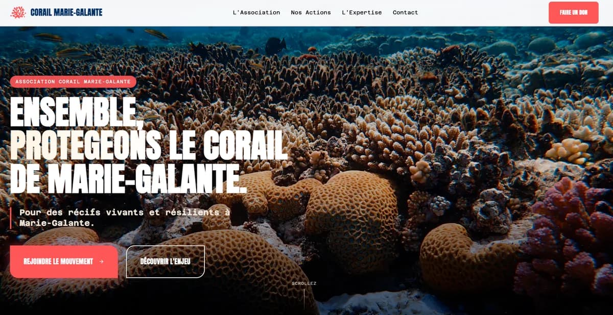 Page d'accueil du site de l'association Corail Marie-Galante, avec son récif corallien en pleine page