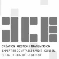 Logo de ACE, client de l'agence IMPAKTE DIGITAL