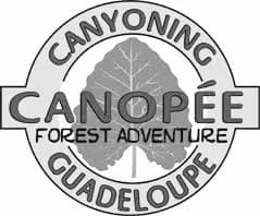 Logo de Canopée, client de l'agence IMPAKTE DIGITAL