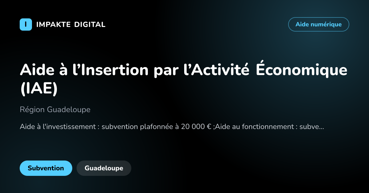Carte de présentation de l'aide Aide à l’Insertion par l’Activité Économique (IAE)